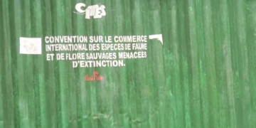 L’ORGANE DE GESTION DE LA CITES SE BAT POUR METTRE FIN À LA CRIMINALITÉ FANIQUE ET FLORISTIQUE EN GUINÉE !