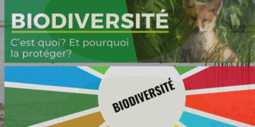 Abidjan accueille la douzième Conférence sur le changement climatique et le développement en Afrique!