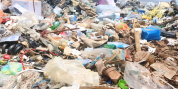 pollution marine en Guinée