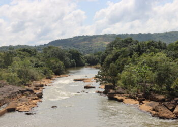 ENVIRONNEMENT: La situation environnementale en Guinée est alarmante !