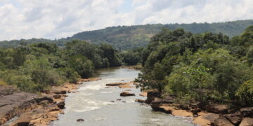 ENVIRONNEMENT: La situation environnementale en Guinée est alarmante !