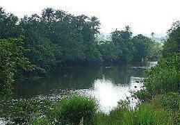 ENVIRONNEMENT: LE DELTA DE KONKOURÉ,  UN TRÉSOR DE BIODIVERSITÉ À PRESERVER…