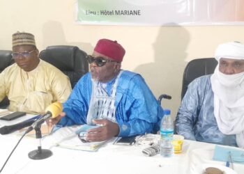 AGRICULTURE: NIGER/ NOMA DAH KIWOH, LES PRODUCTEURS  AGRO-PASTORAUX  UNISSENT LEURS EFFORTS AUTOUR D’UN SEUL IDÉAL