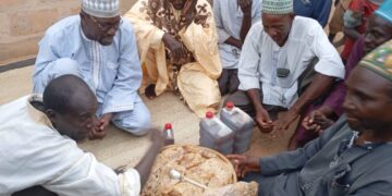 APICULTURE AU NIGER : IMMERSION DANS LE BASSIN AGRICOLE DE BANDÉ, BERCEAU D’UN MIEL NATUREL DE QUALITÉ
