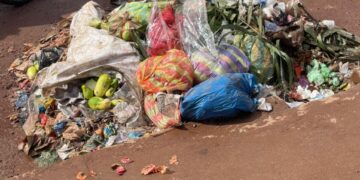 Des légumes et fruits abandonnés, des familles affamées : l’absurde réalité des marchés guinéens !