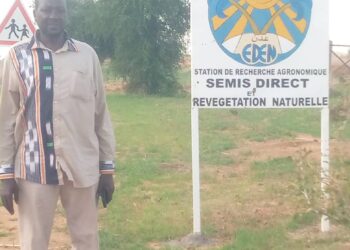 Zinder-Tanout : Une campagne agropastorale 2025 prometteuse grâce à la résilience agro écologique