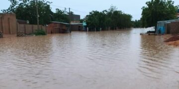 Niger/Pluies diluviennes à Zinder : entre drame humain et urgence climatique !