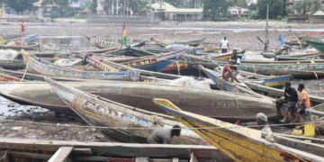 Pêche : Le projet Renforcement de la Gouvernance des pêches en Guinée opte pour la sensibilisation des acteurs à travers les médias