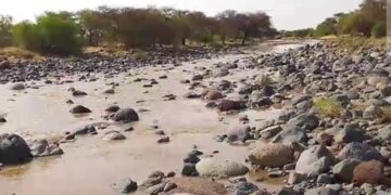 Niger/Hydrographie :Ouwari, le cours d’eau nourricier du mont Bagzam reprend vie