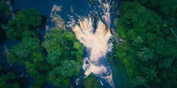 Gestion durable des forêts