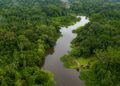 La journée mondiale de la biodiversité : préserver la vie pour les générations futures