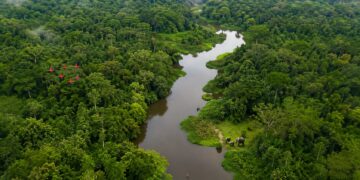 La journée mondiale de la biodiversité : préserver la vie pour les générations futures