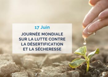Journée mondiale de lutte contre la désertification et la sécheresse: restaurer les terres pour préserver l’avenir