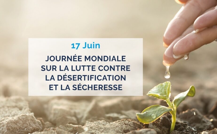 Journée mondiale de lutte contre la désertification et la sécheresse: restaurer les terres pour préserver l’avenir