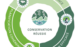 Les différentes catégories d’aires protégées : des outils essentiels pour préserver la biodiversité