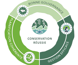 Les différentes catégories d’aires protégées : des outils essentiels pour préserver la biodiversité