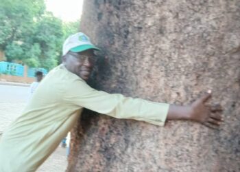 Niamey : le cri d’alerte du Dr Manzo sur la disparition des Cailcedrats